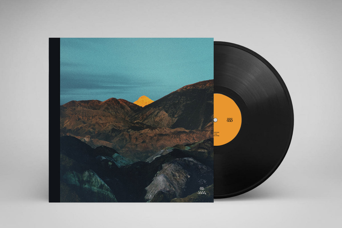 vinyl mockup